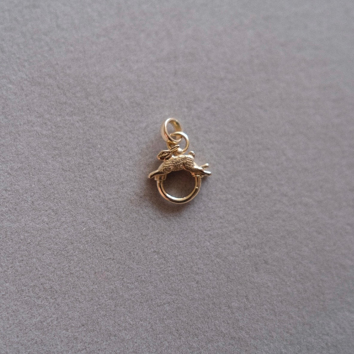 Lucky Rabbit Clasp Pendant