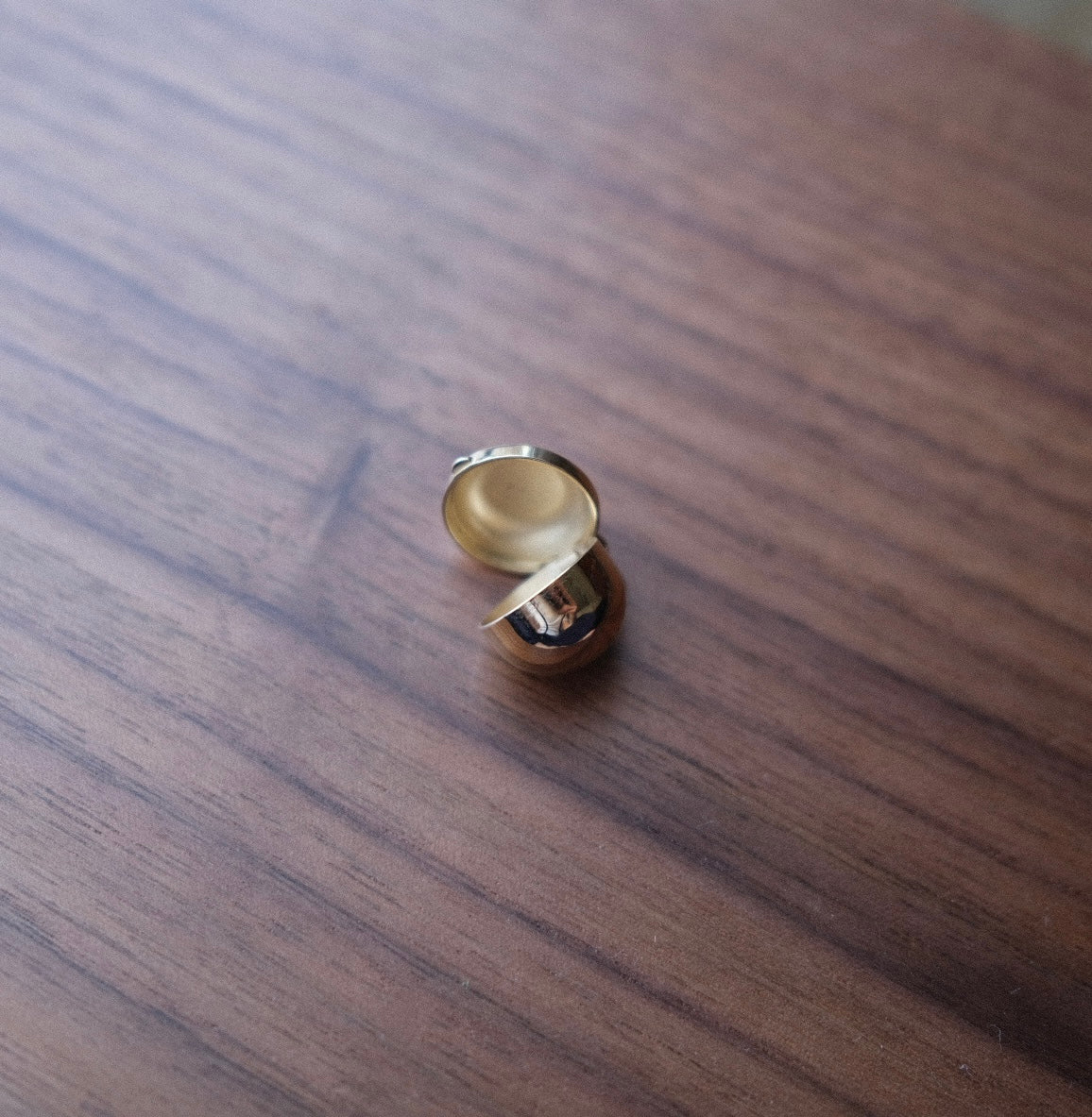 Preorder- ships 11/12/25 Capsule Locket