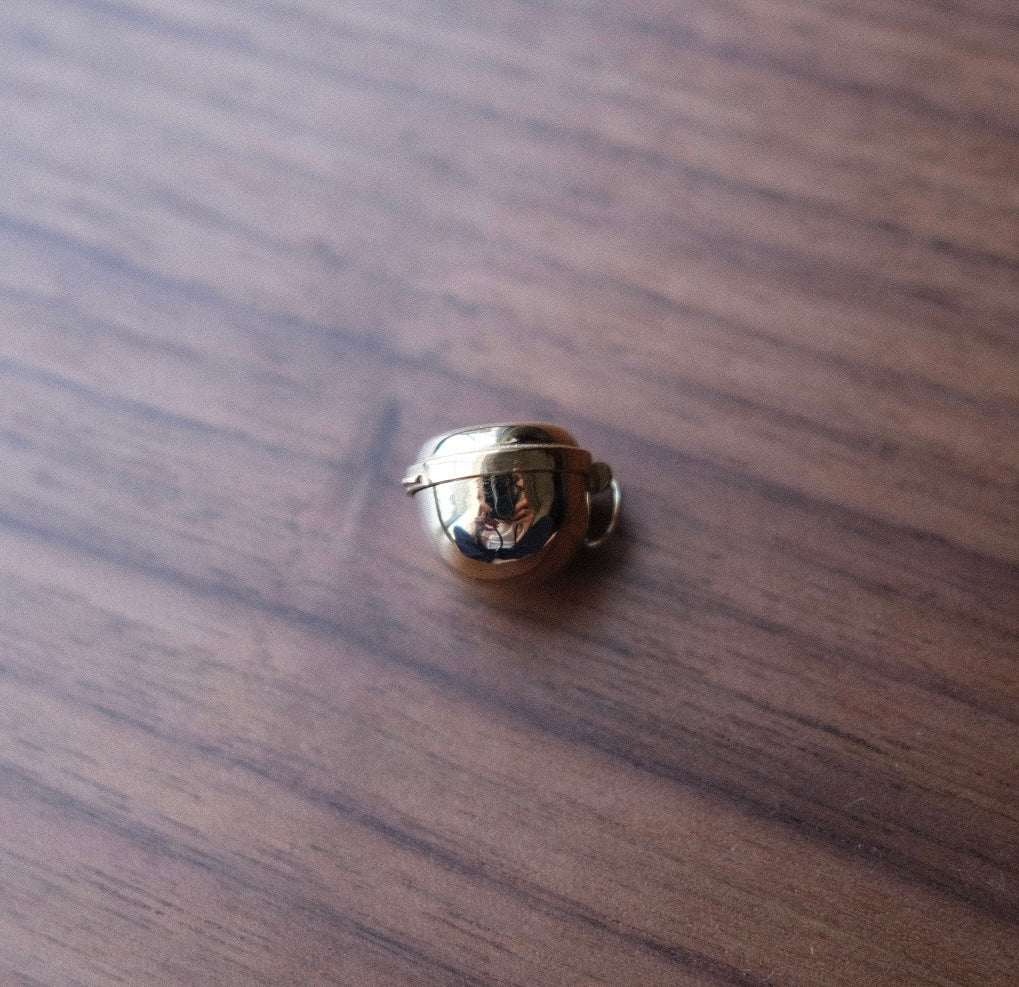Preorder- ships 11/12/25 Capsule Locket