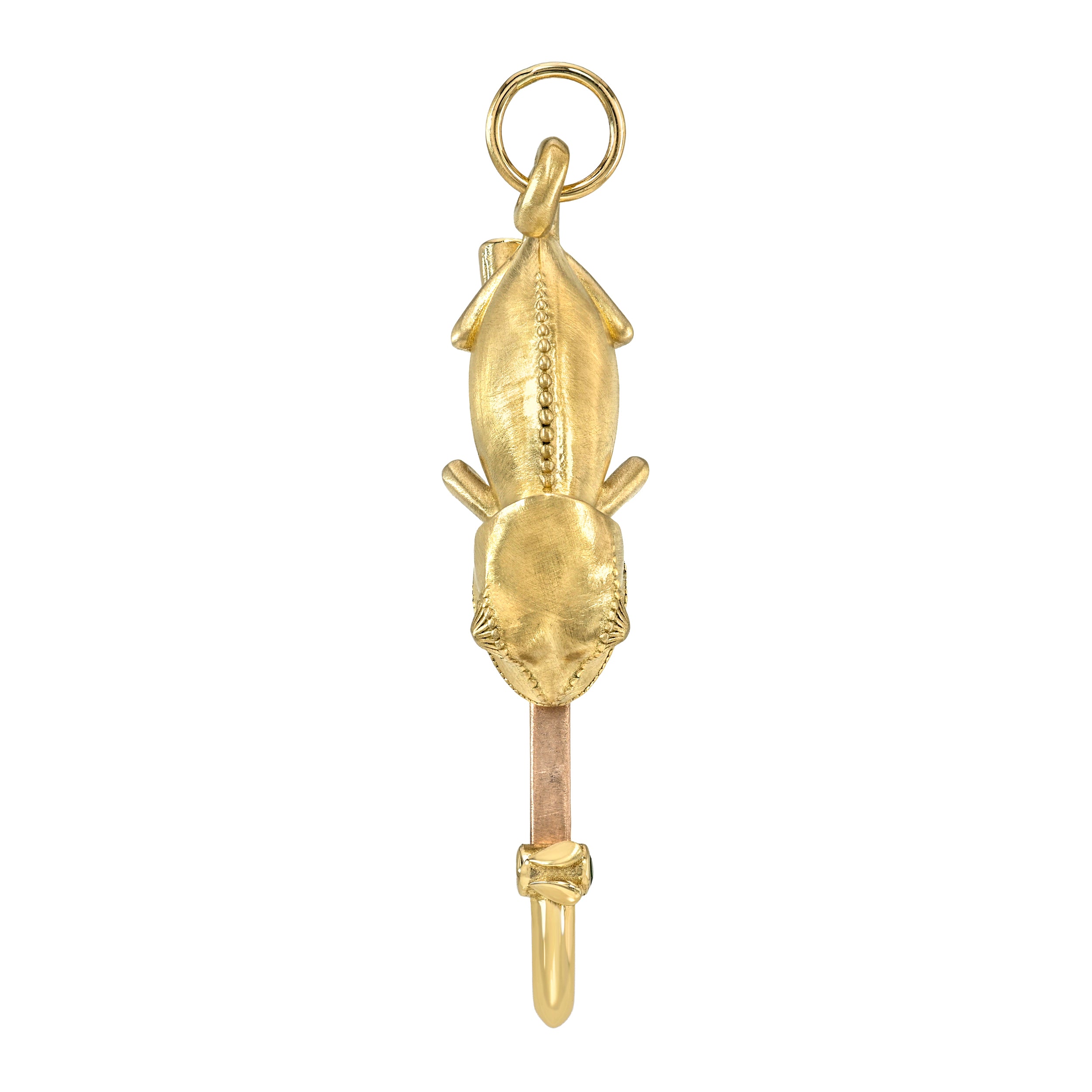 Chameleon Clasp