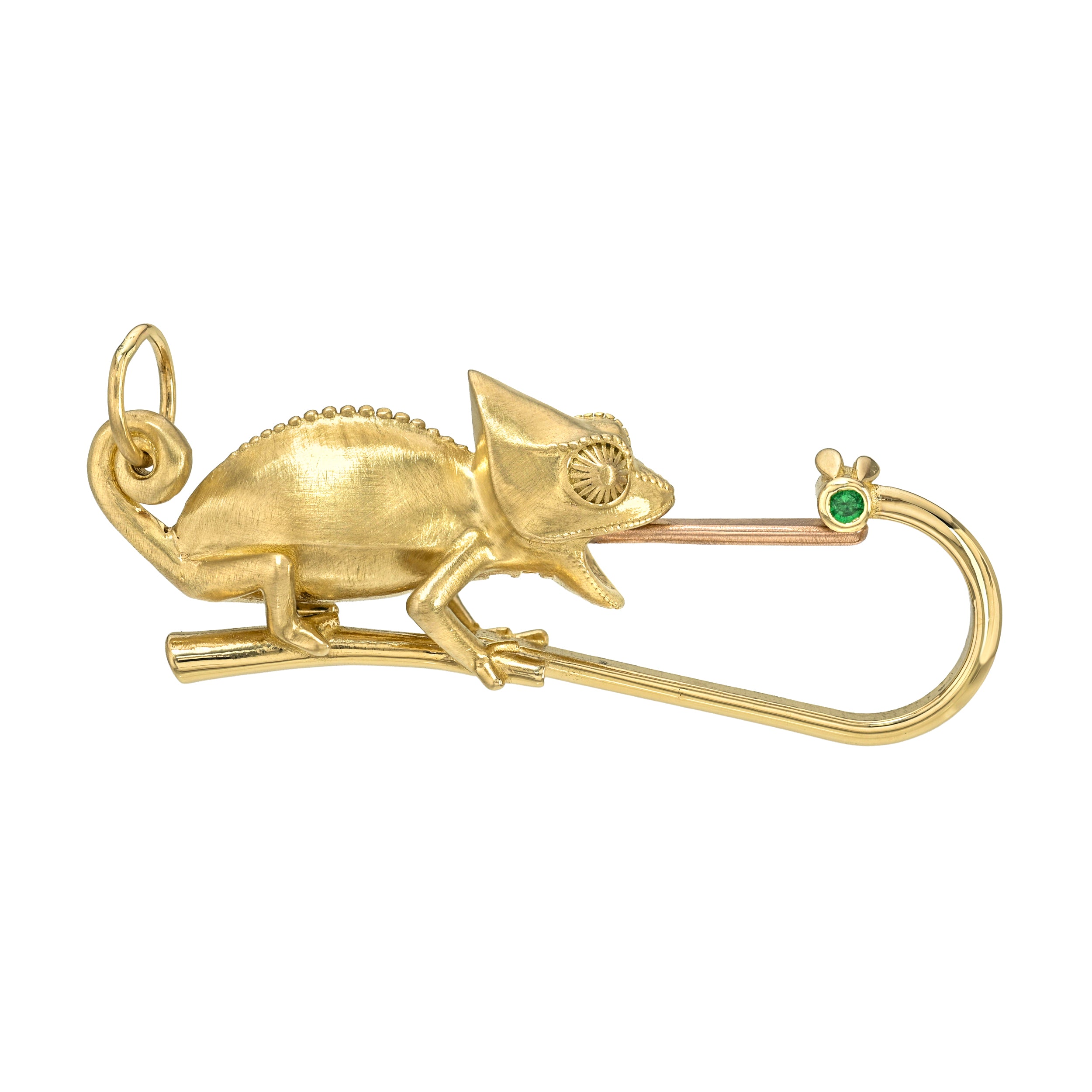 Chameleon Clasp