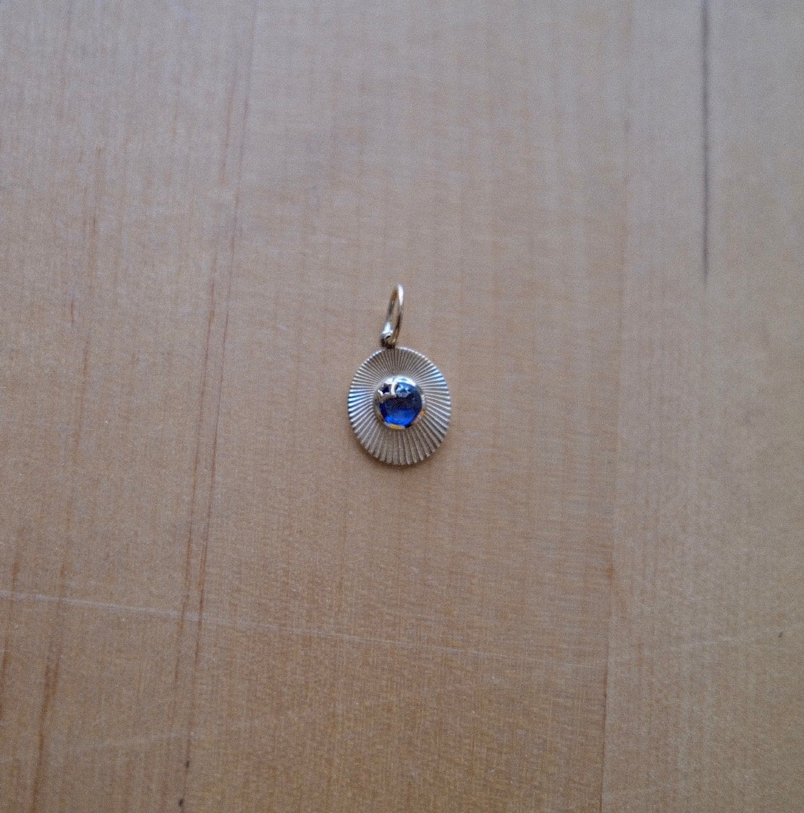Blueberry JoyLight charm