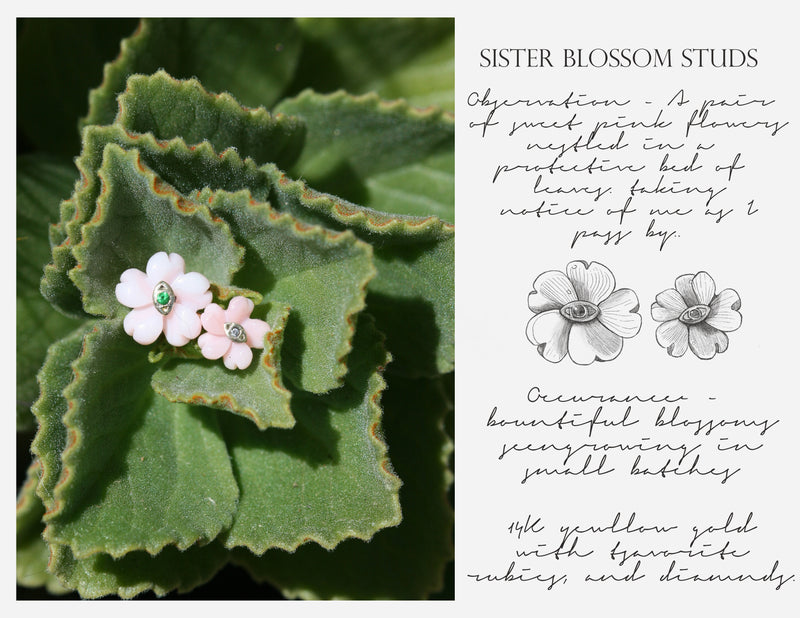 Sister Blossom Stud