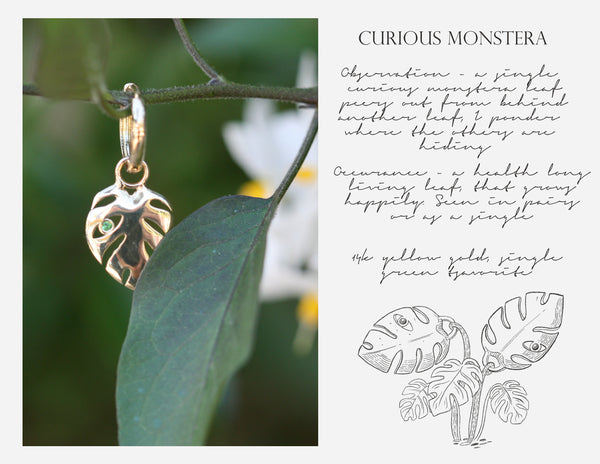 Curious Monstera Huggie